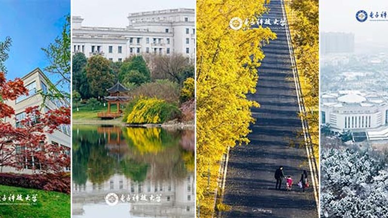 电子元件进口报关操作流程